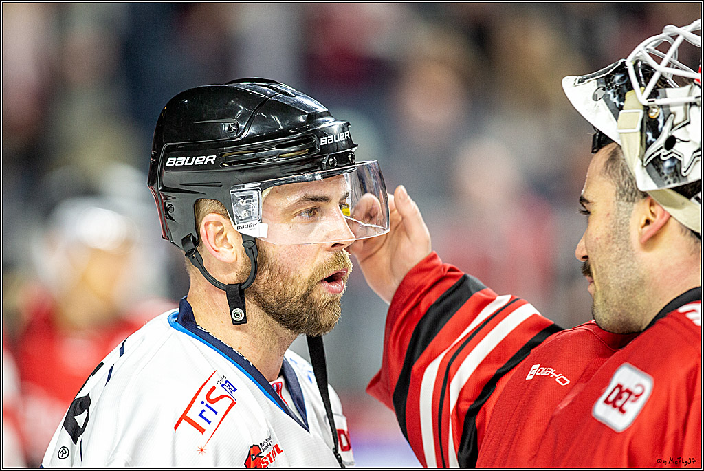 DEL; Koelner Haie - Straubing Tigers; Koeln, 17.11.2019